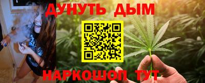 индика Михайловка