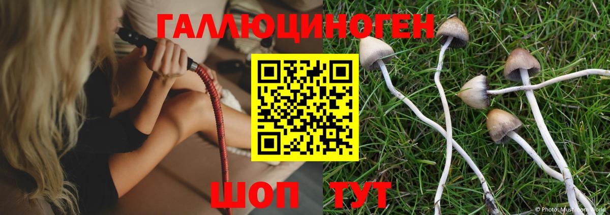 Псилоцибиновые грибы GOLDEN TEACHER  Вход с VPN  Галлюциногенные грибы Psilocybine cubensis  Богородицк 